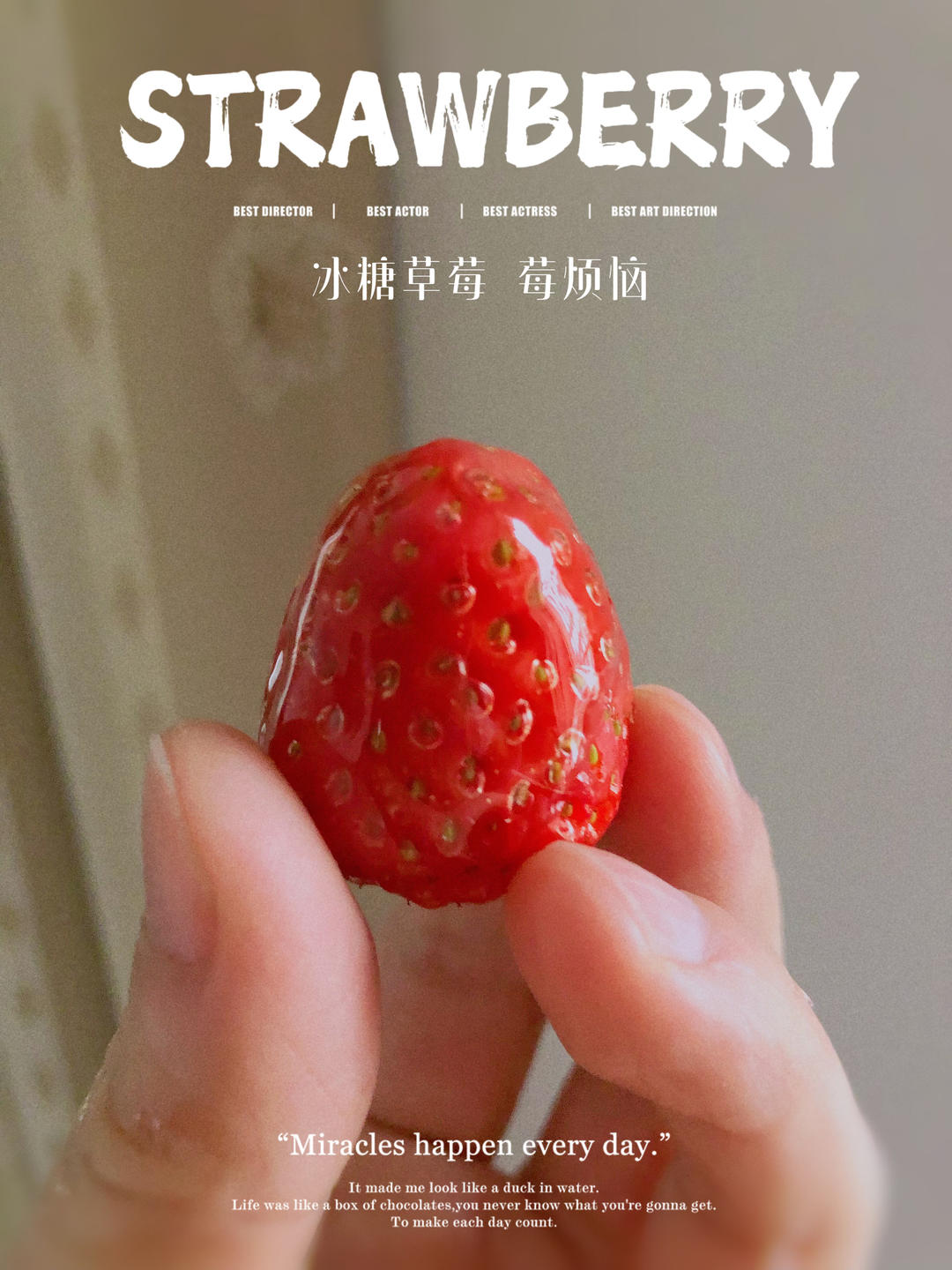 草莓冰糖葫芦🍓