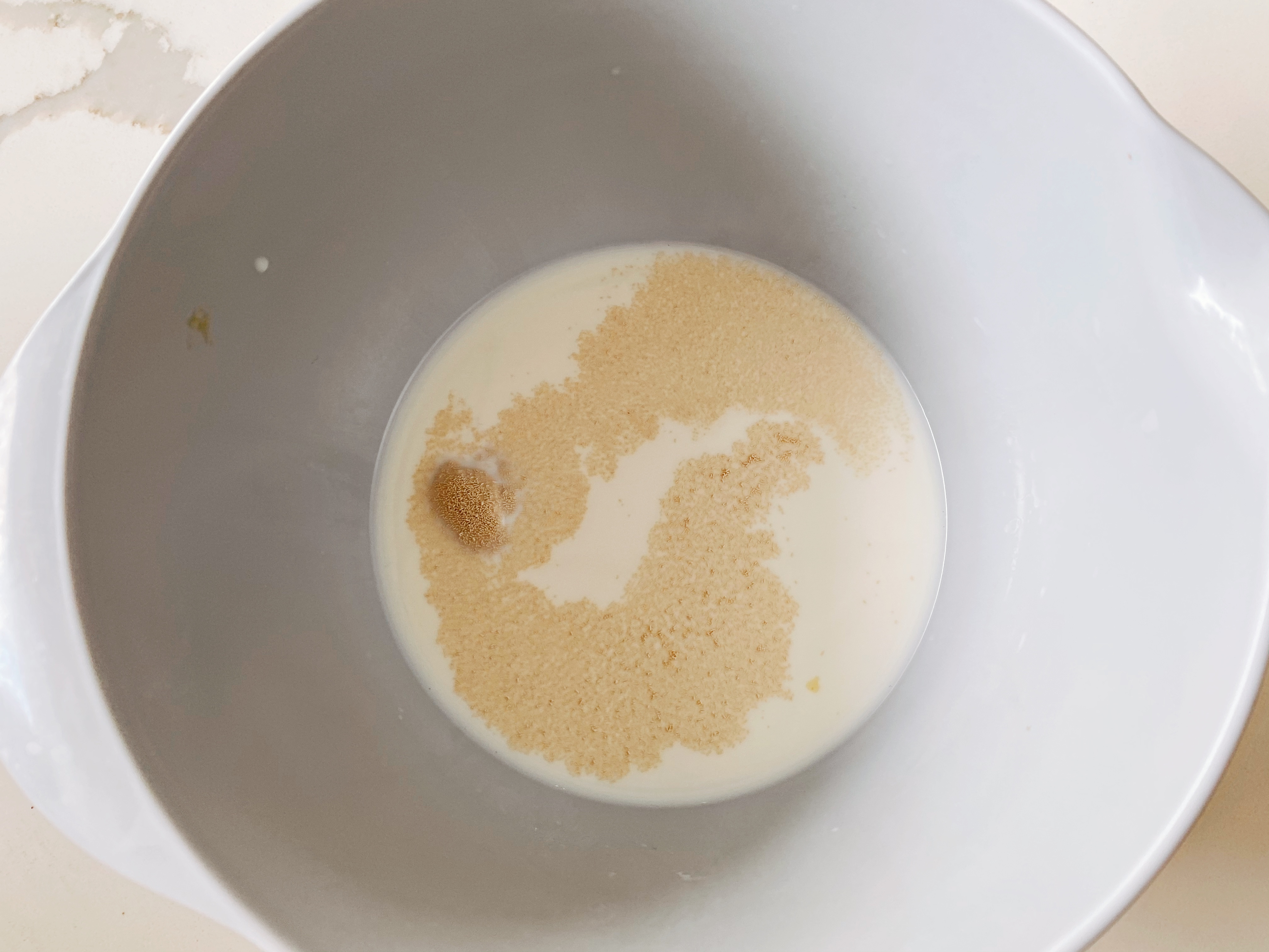 日本京都超柔软的牛奶生吐司（附中种做法）的做法 步骤3