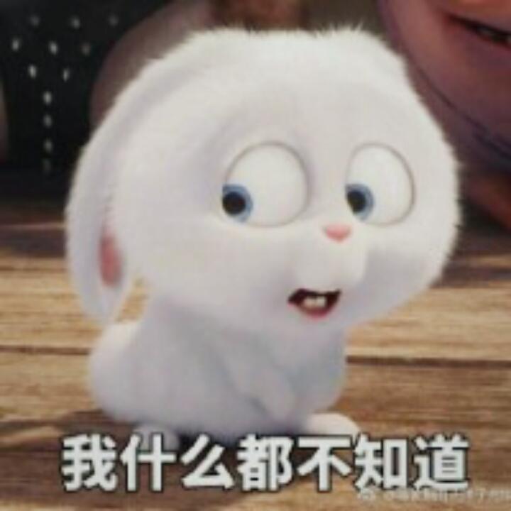 草不吃的兔兔_
