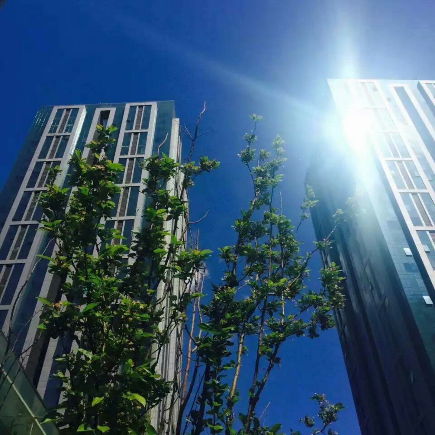 手机用户0623_7v0q