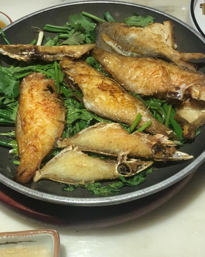低碳生酮之每日饮食记录