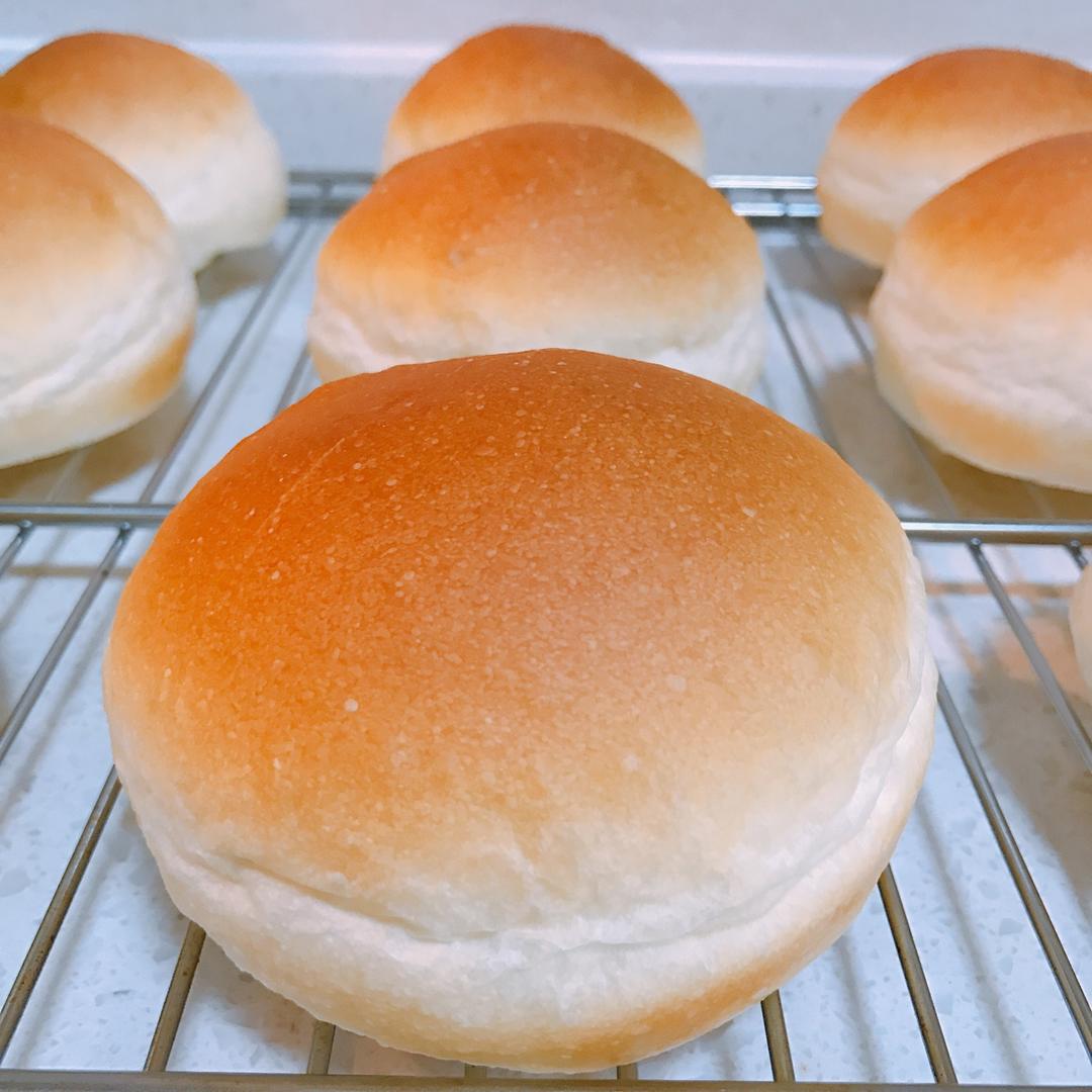 汉堡胚（中种法）