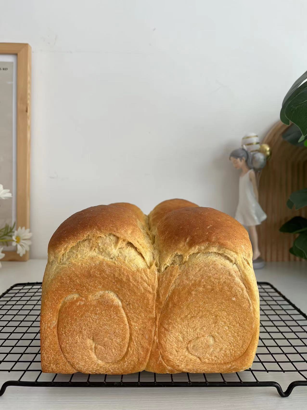 懒人1⃣键式面包机面包🍞