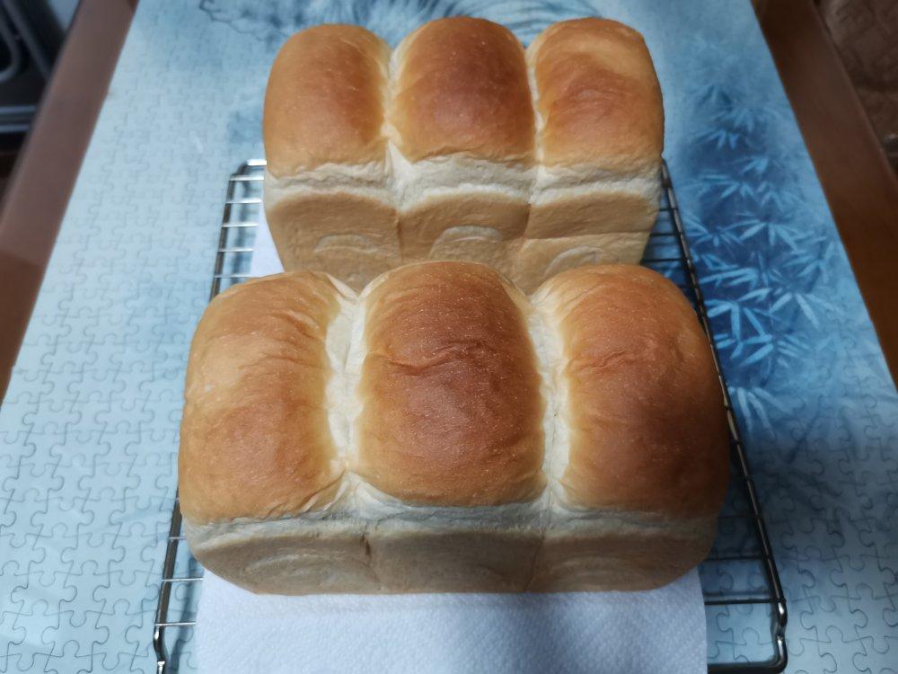 波兰种牛奶吐司