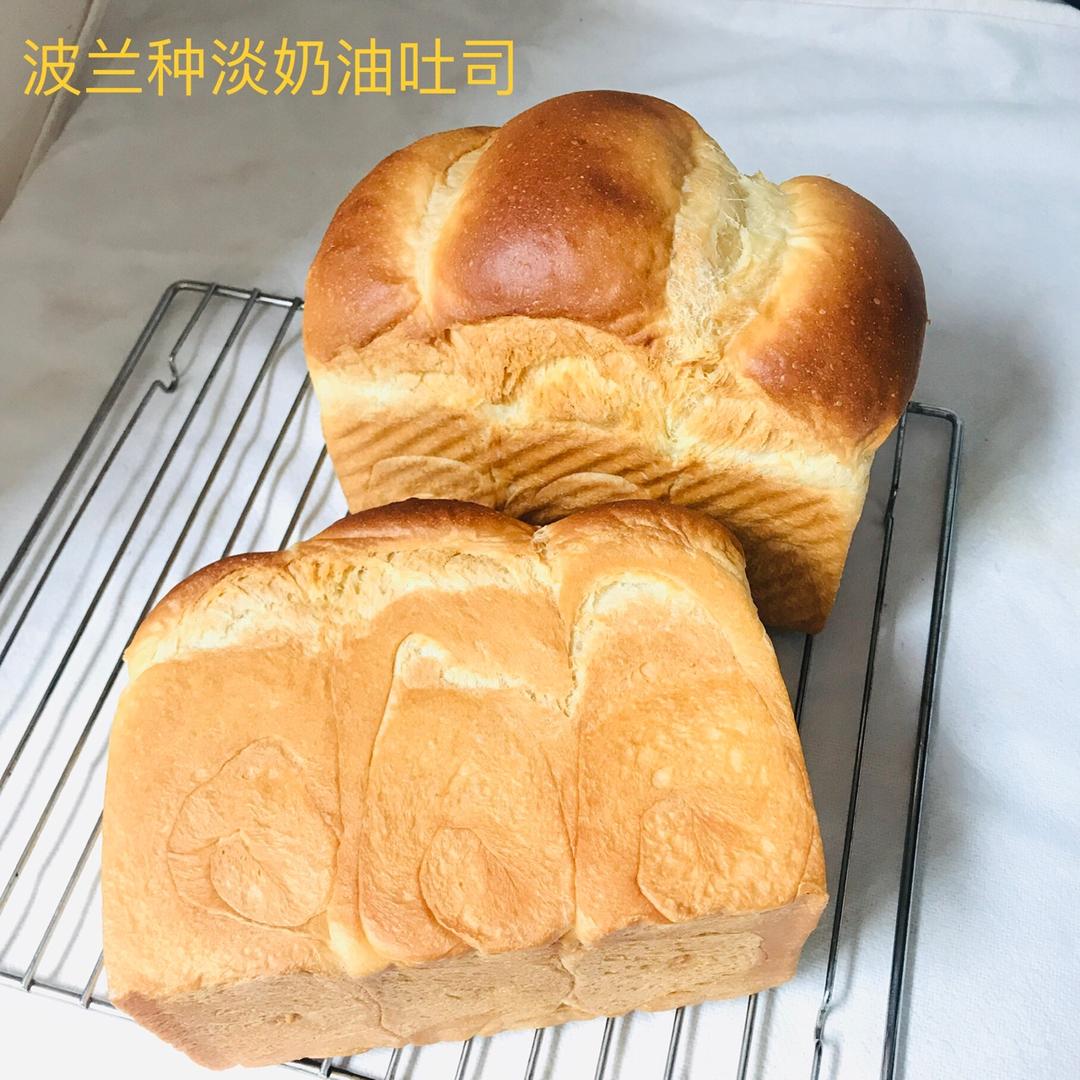 波兰种奶油吐司