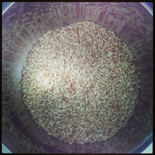 炒米—香香脆脆就是你