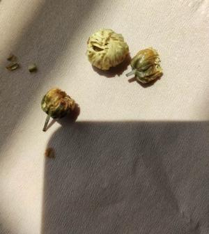 菊花茶的讲究的做法 步骤1