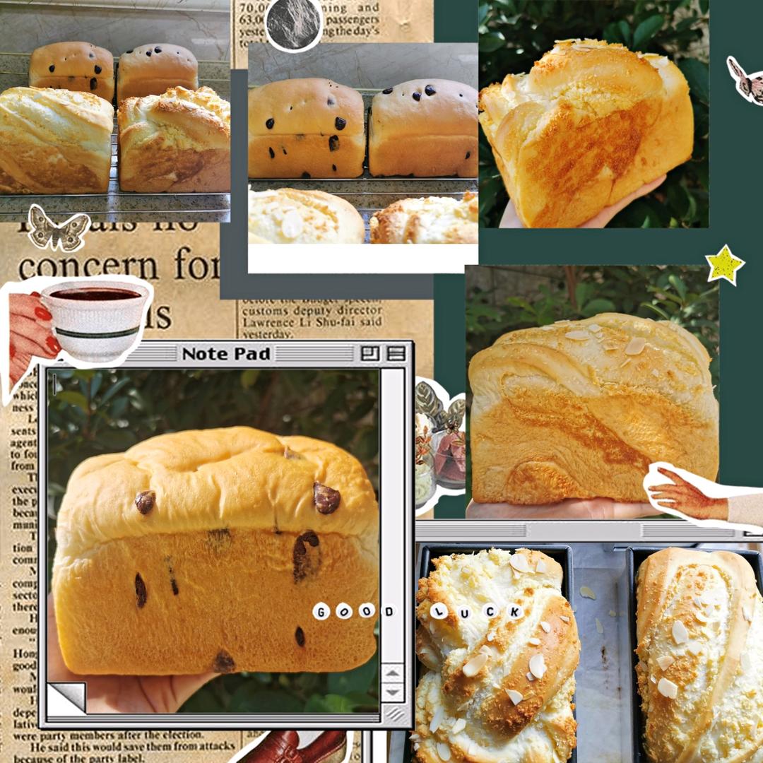 超滋润的椰蓉吐司｜100%酸奶中种(面包体绝绝子，推荐)