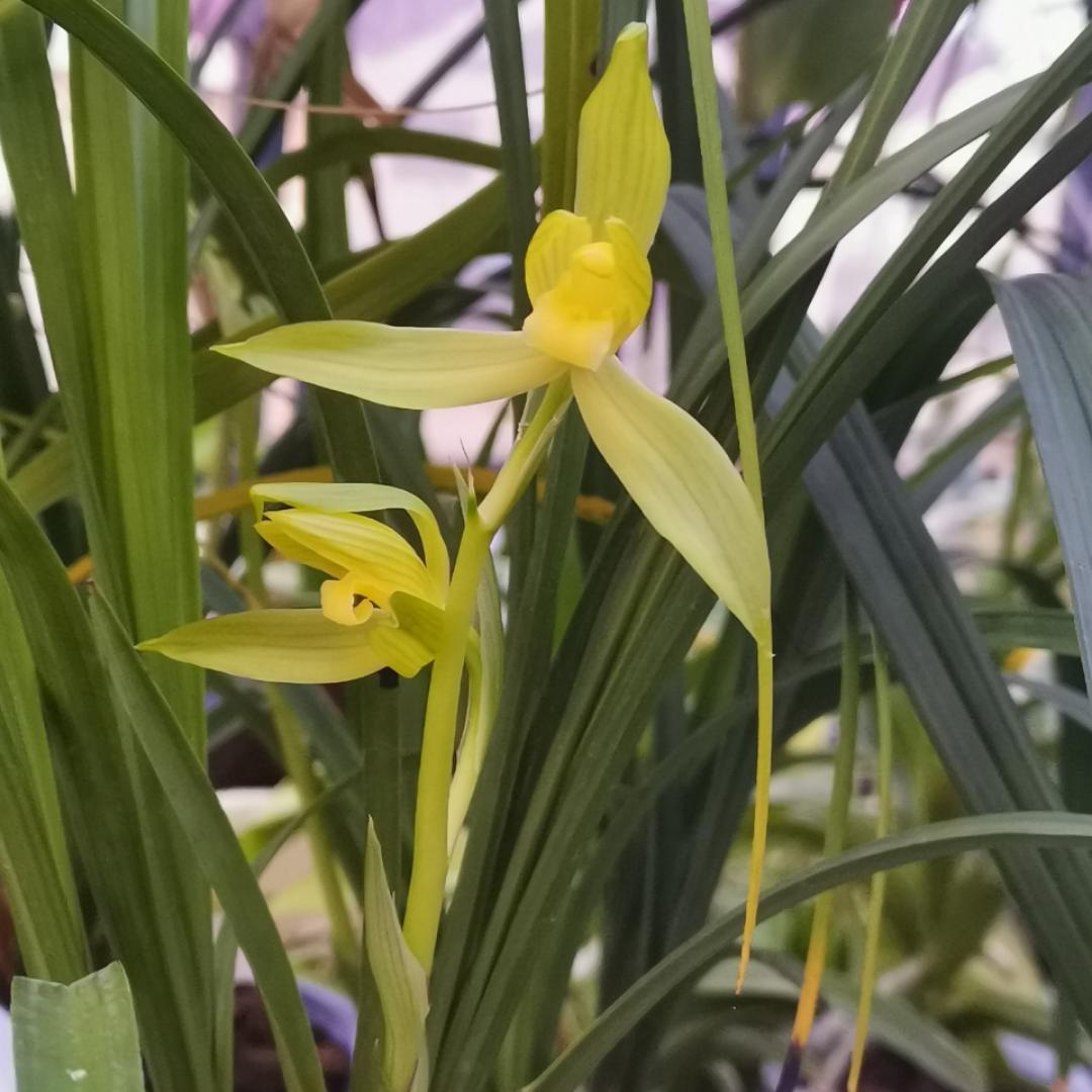 吃货妈妈爱小米