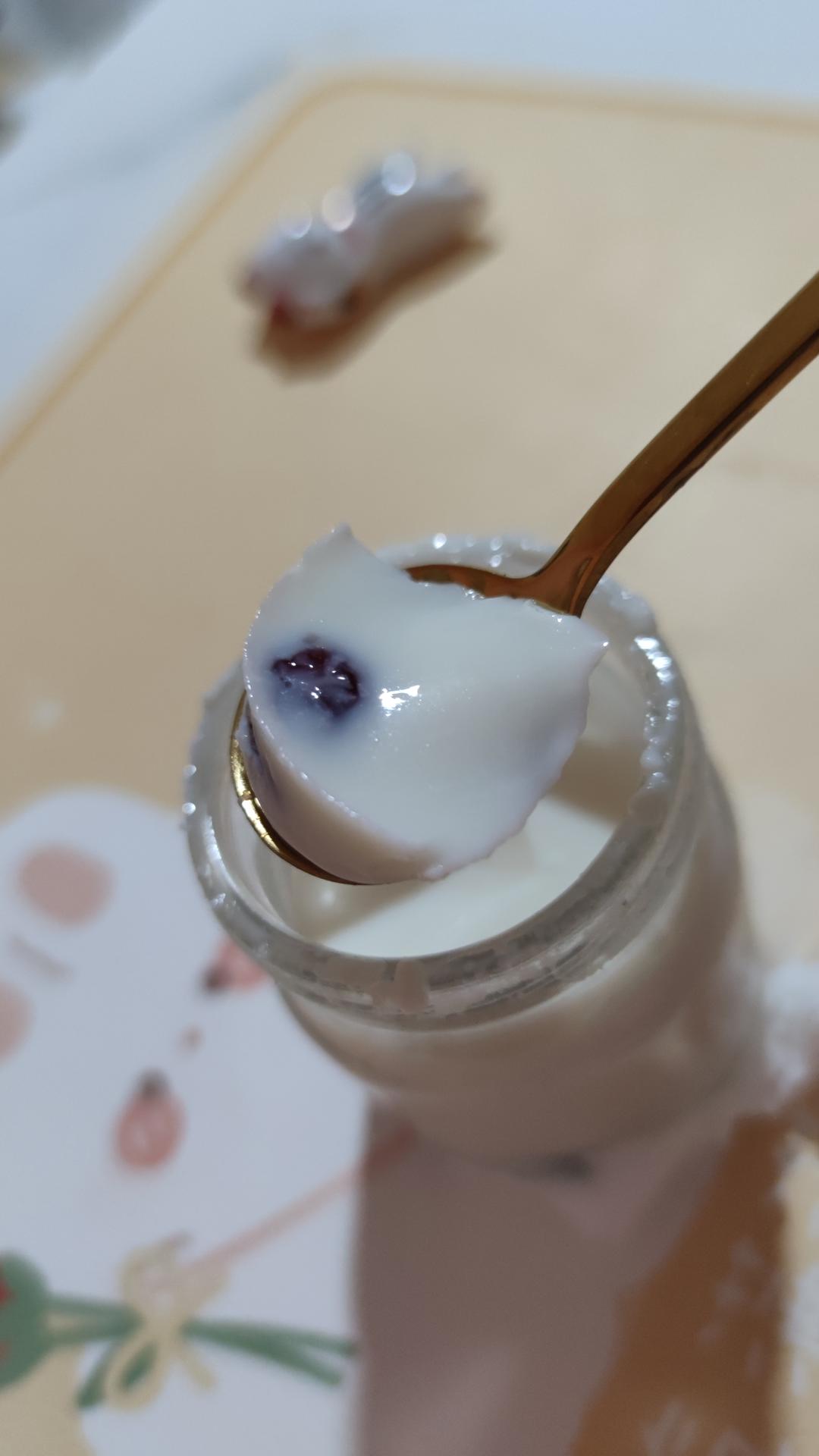 完美牛奶布丁（吉利丁片版）