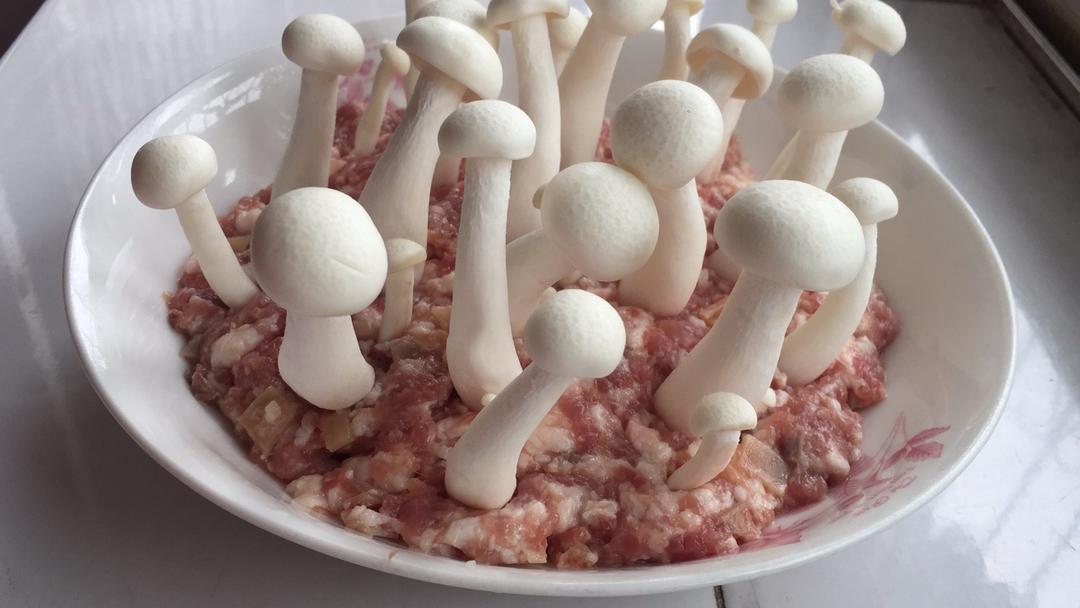 白玉菇肉饼（春回大地）