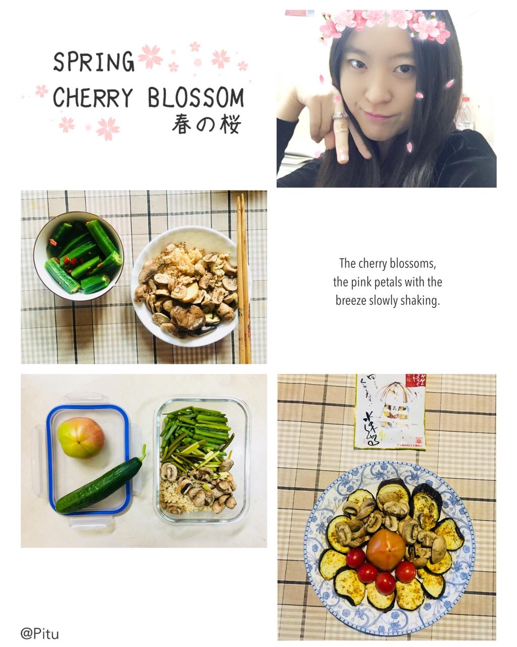 法国804减肥轻断食食谱