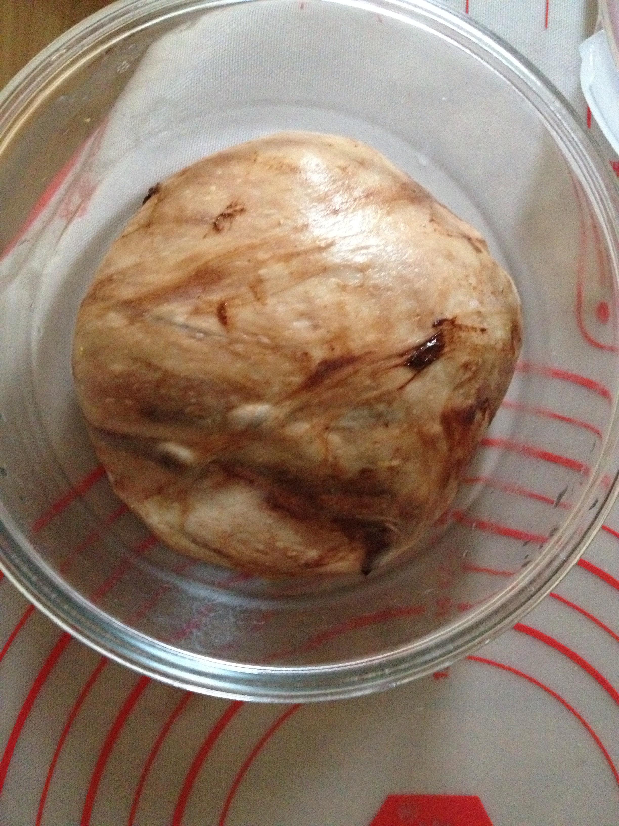 菠萝巧克力面包～17小时冷藏中种的做法 步骤3