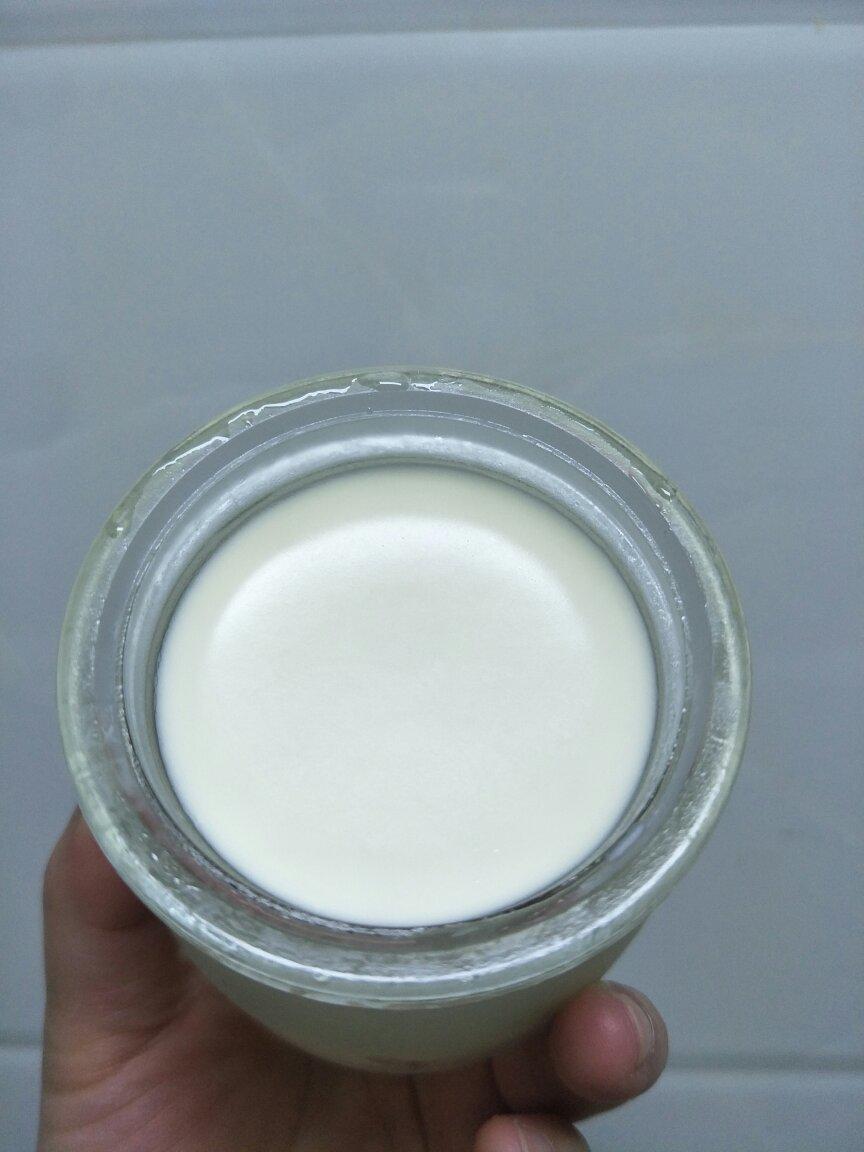 酸奶，自制酸奶，浓厚醇香