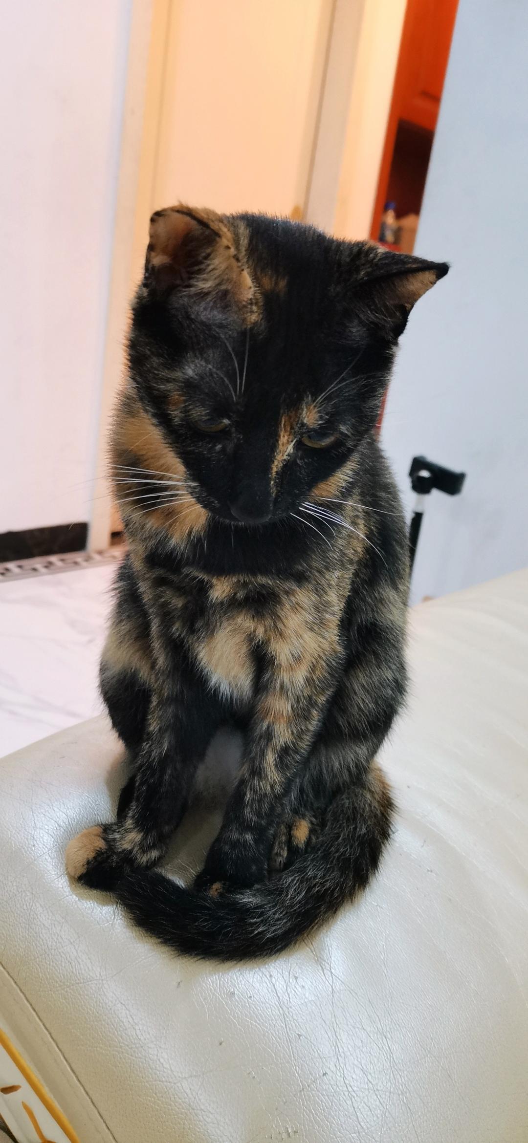 教你做嘎嘣脆的烤五香花生米－最简单最健康系列