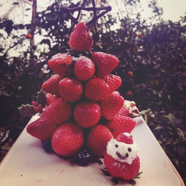 草莓圣诞树。ヾ(*´∀｀*)ﾉ的做法