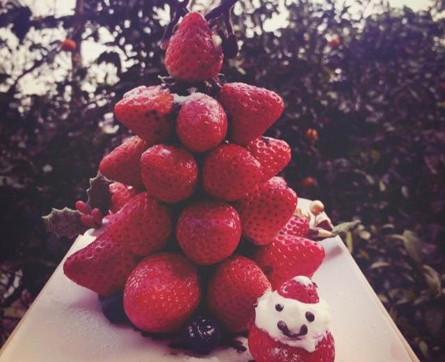 草莓圣诞树。ヾ(*´∀｀*)ﾉ
