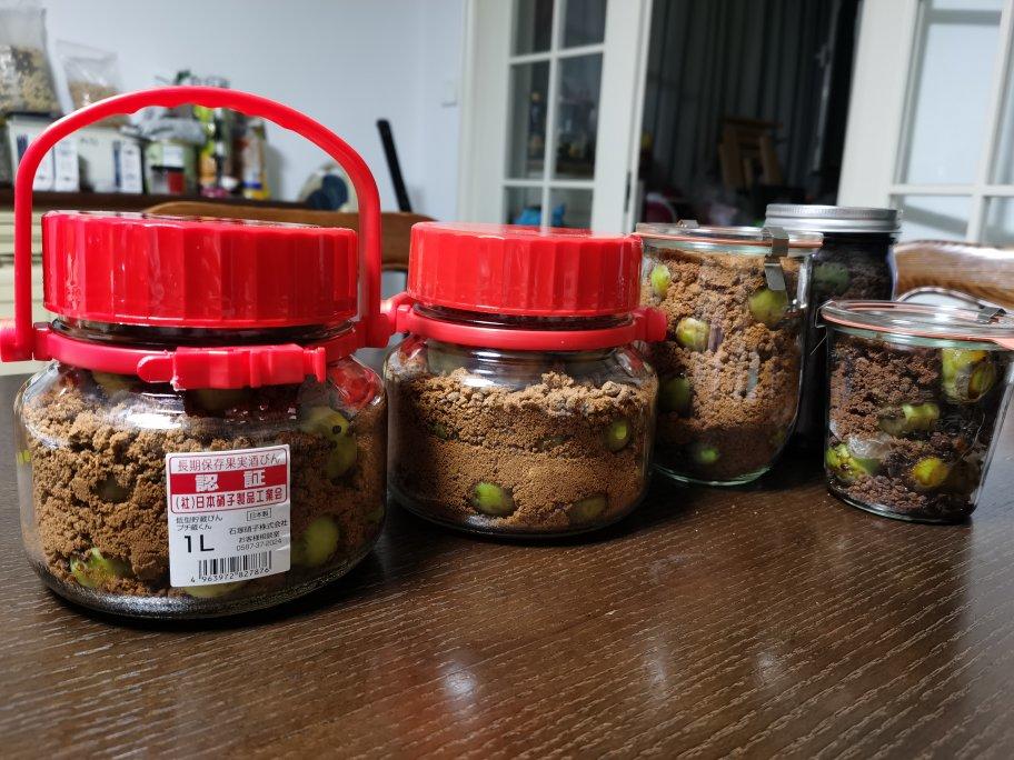 红糖青梅露（青梅酵素）