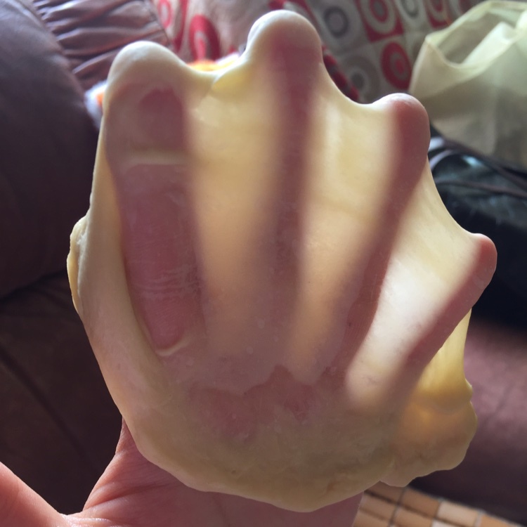 面包十五分钟手套膜及拉丝秘笈(附七岁儿童终极版)