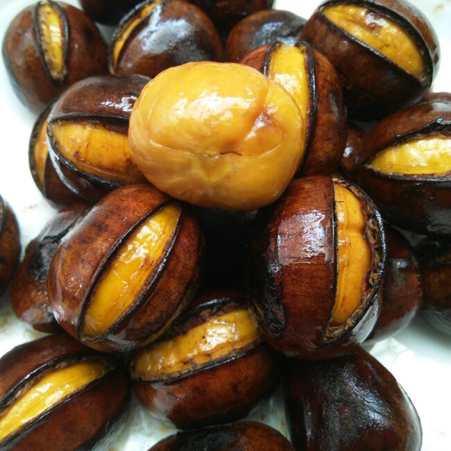 慵懒美丽的栗子