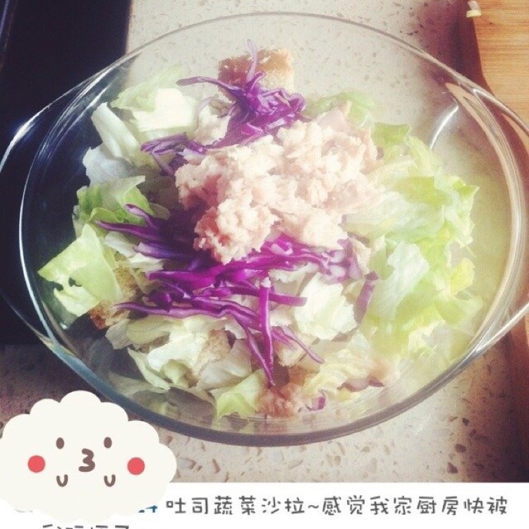 鲜蔬金枪鱼沙拉