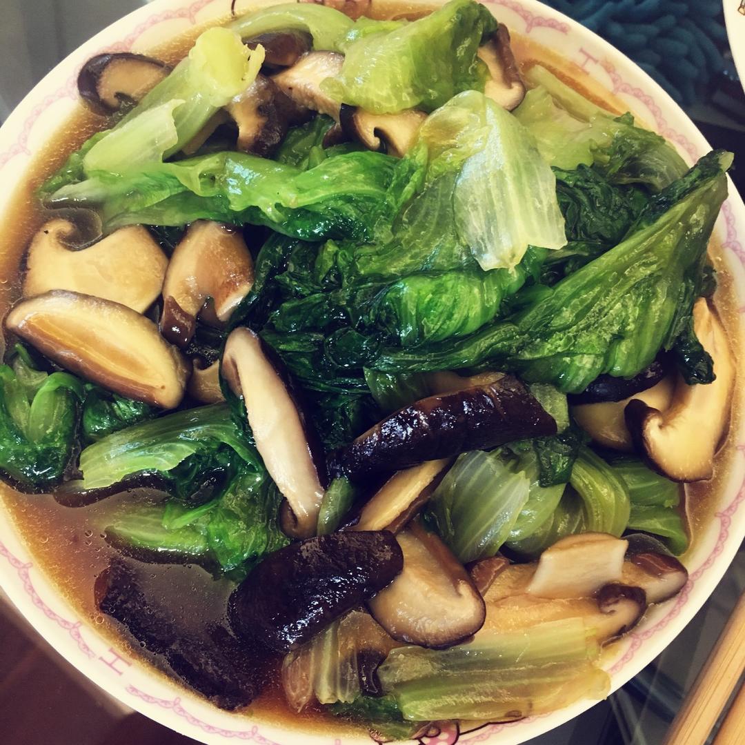 王议婷做的懒人菜单五分钟蚝油香菇生菜