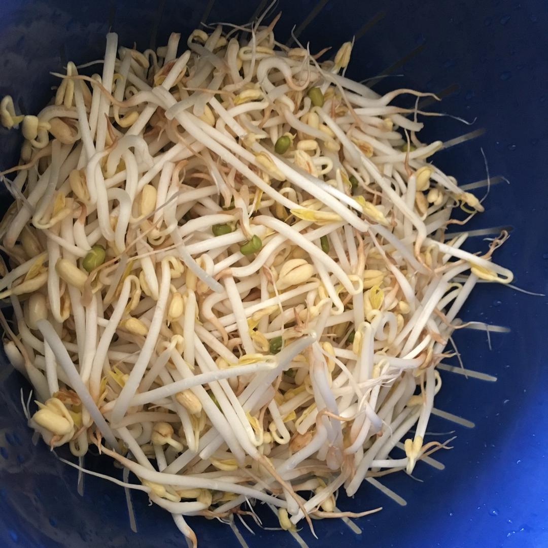 自发豆芽（可乐瓶发豆芽0失败！）