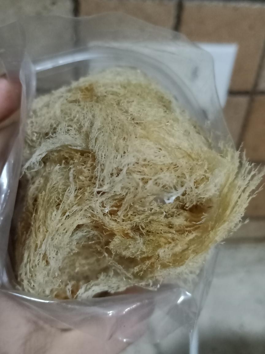 夏日特供之 石花菜消暑冻的做法步骤图 食在友趣 下厨房