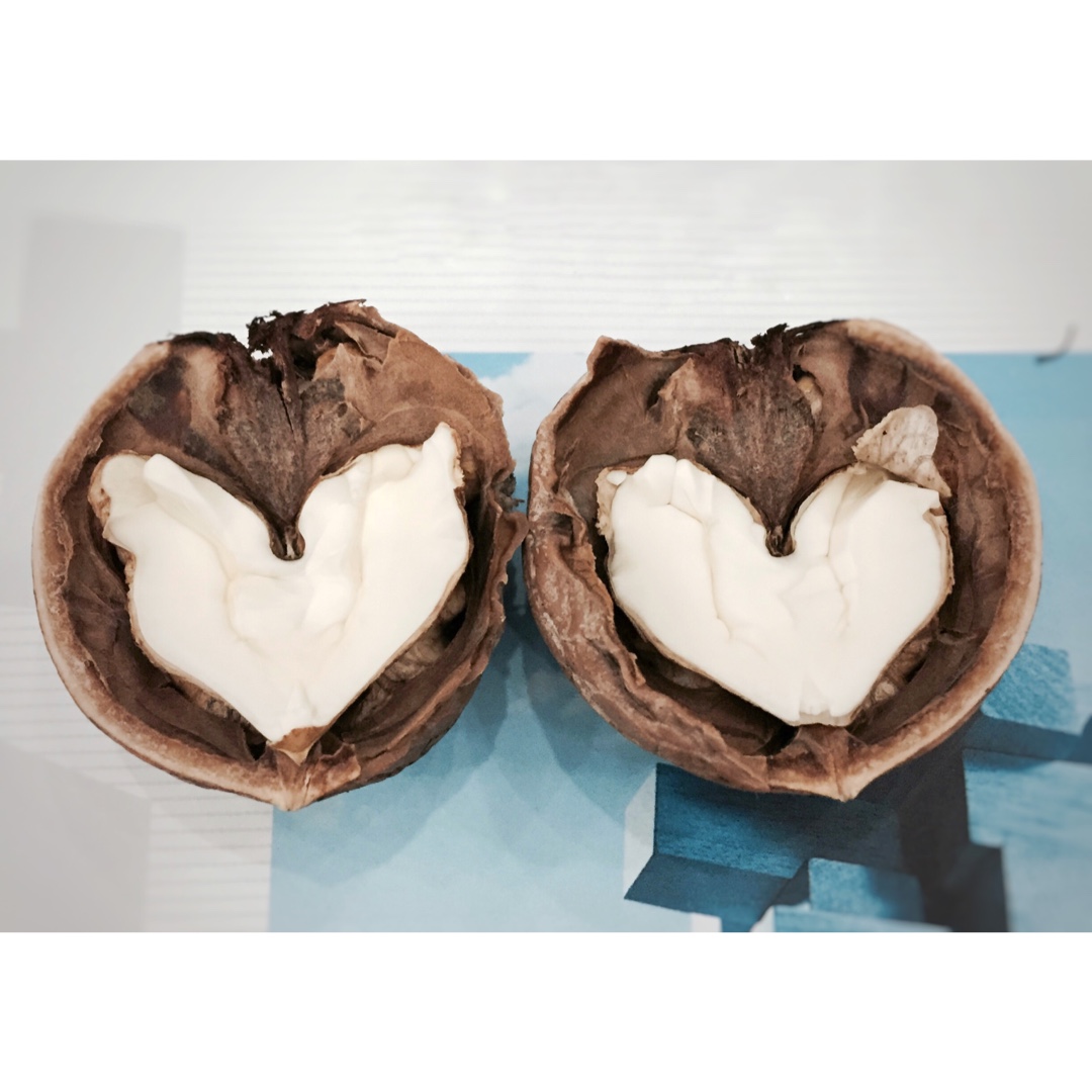 我得意地吃(˶‾᷄ ⁻̫ ‾᷅˵)