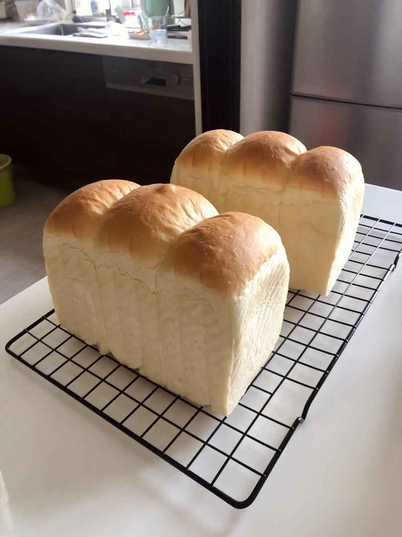 🌟只需一发的软妹子🌟奶香吐司🍞