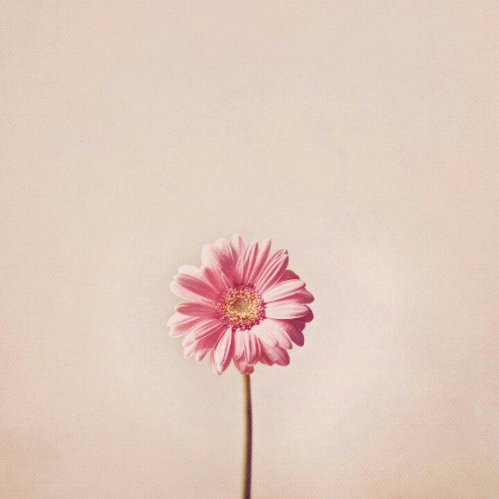 取名字太难了呀