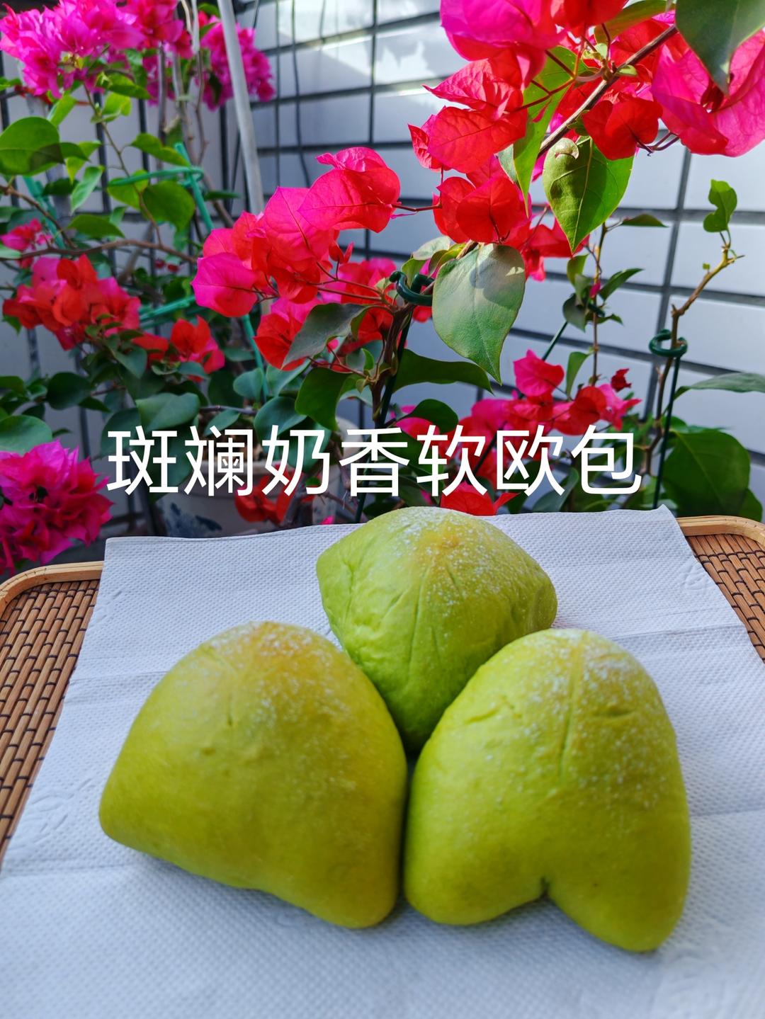 一定要试试‼️这个夏天必吃的斑斓奶香软欧包