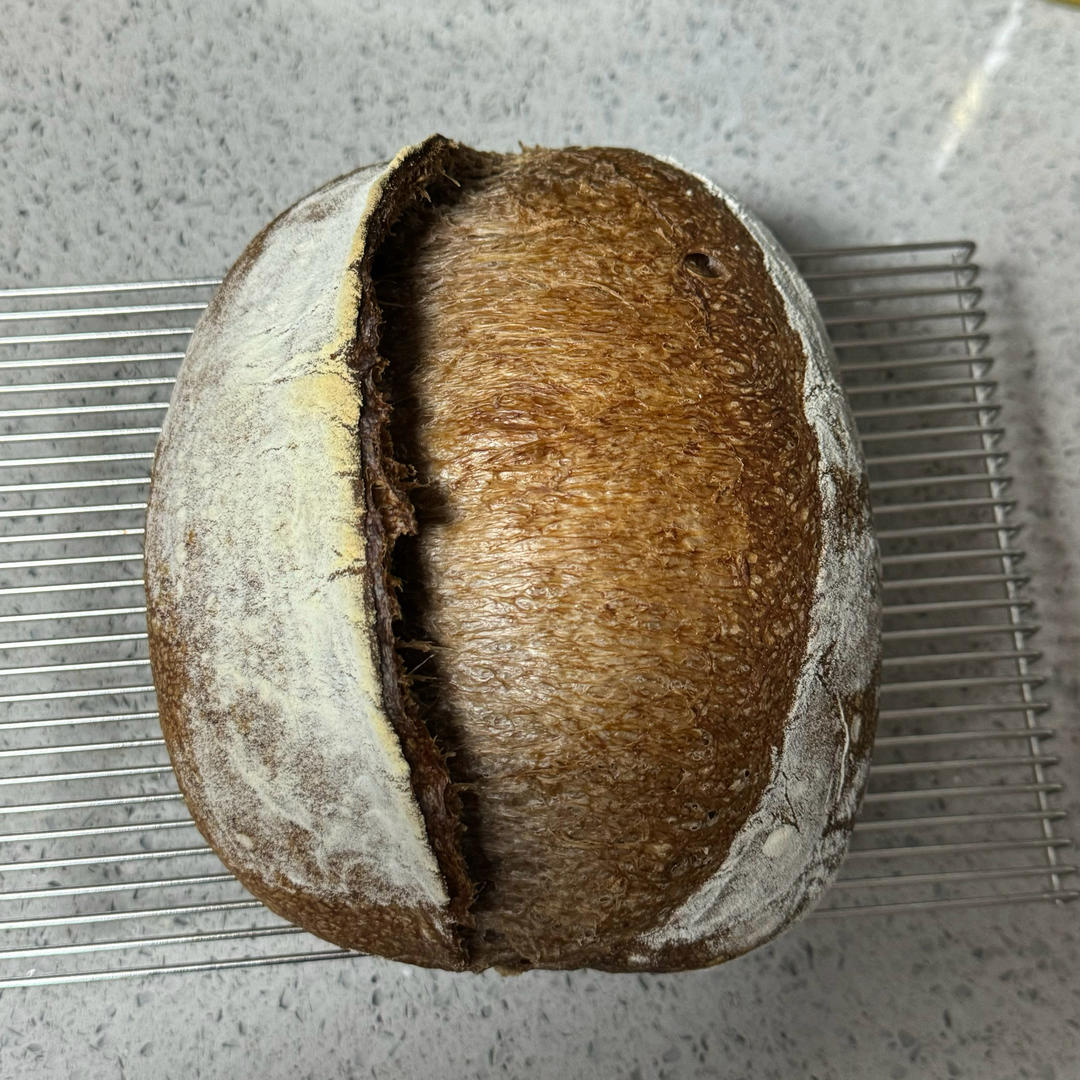 万能基础欧包(硬欧)配方