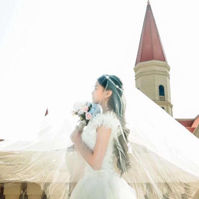 想变成天鹅的丑小鸭