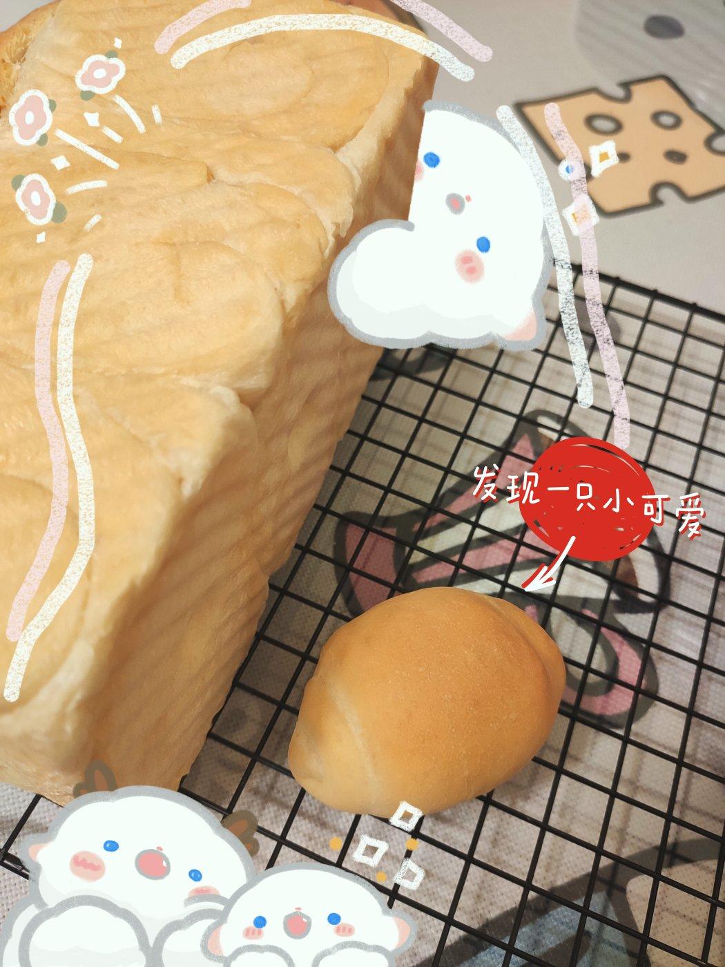 漫漫吐司路之——直接法白吐司（写给吐司新手的详细教程）