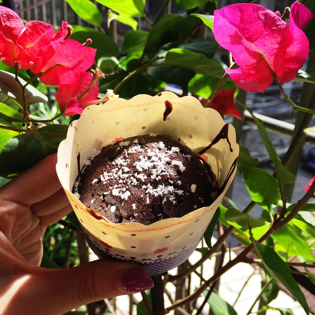 布朗尼杯子蛋糕