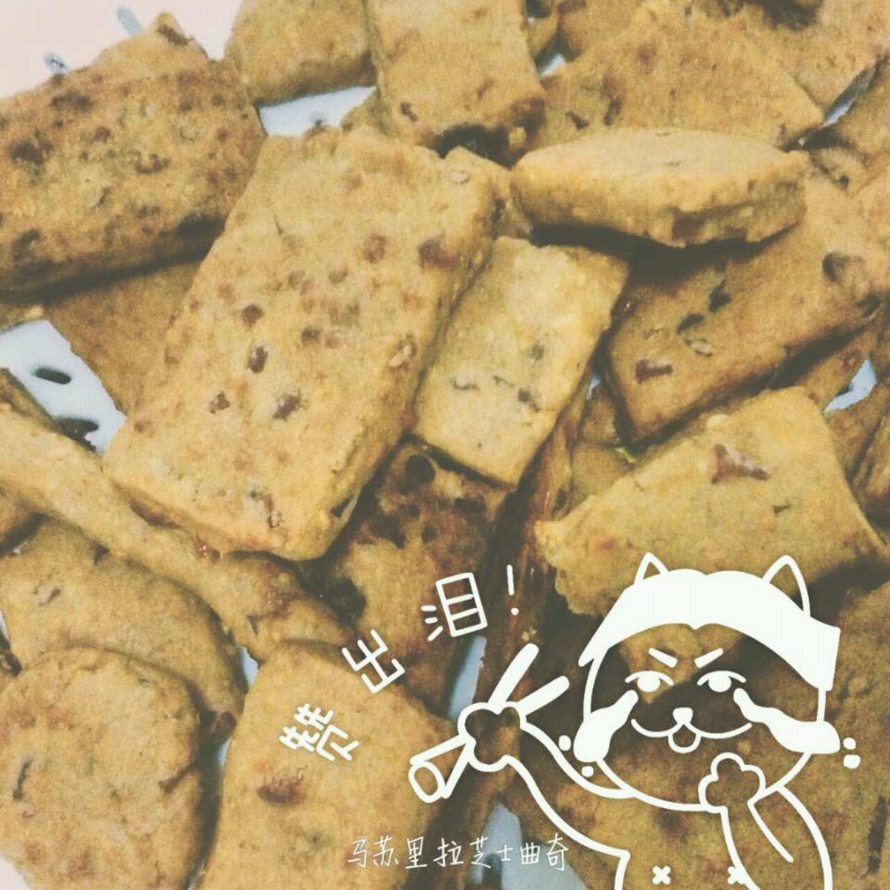 马苏里拉芝士咸味饼干