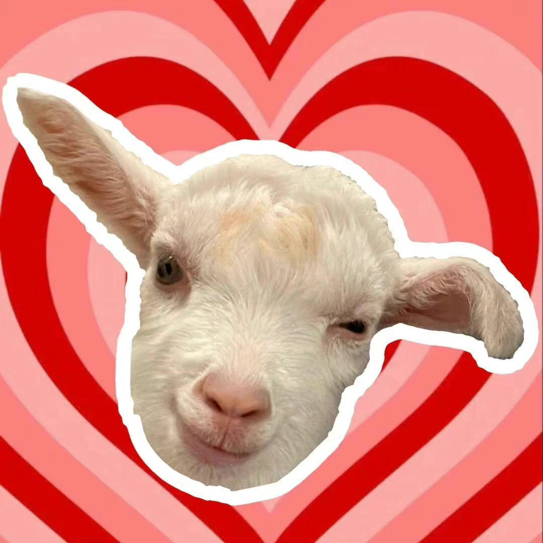 吃吃睡睡冠军选手