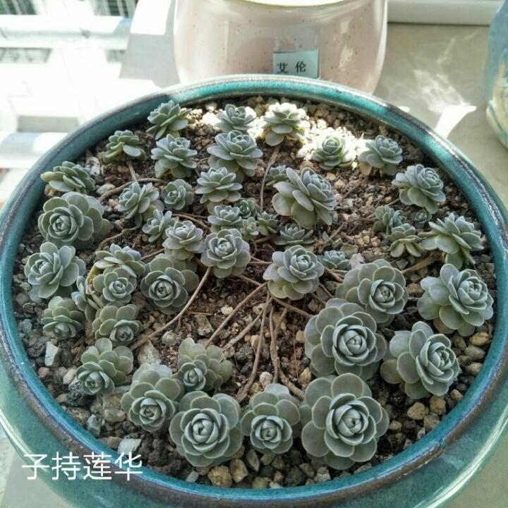 下厨房wo