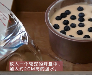 蓝莓酸奶蛋糕的做法 步骤11