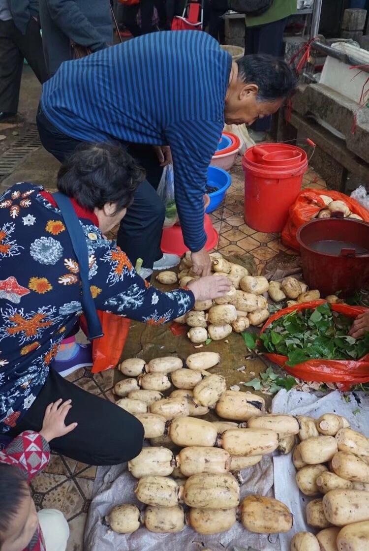 鲜花和美食装扮的生活