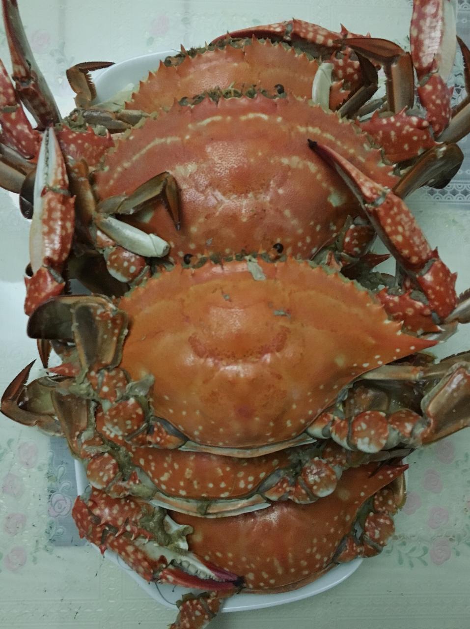 清蒸梭子蟹🦀️