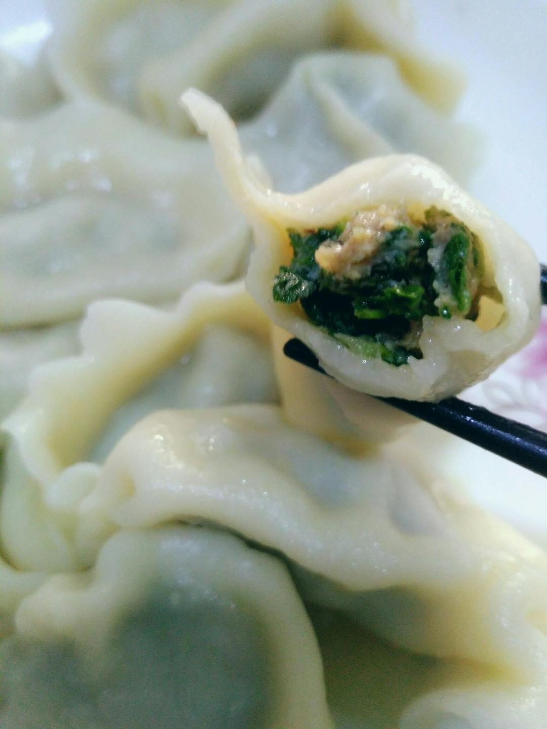 le宝做的猪肉荠菜饺子