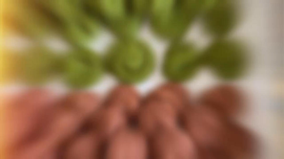 零失败❗️酥掉渣奶香曲奇饼干～好吃停不下