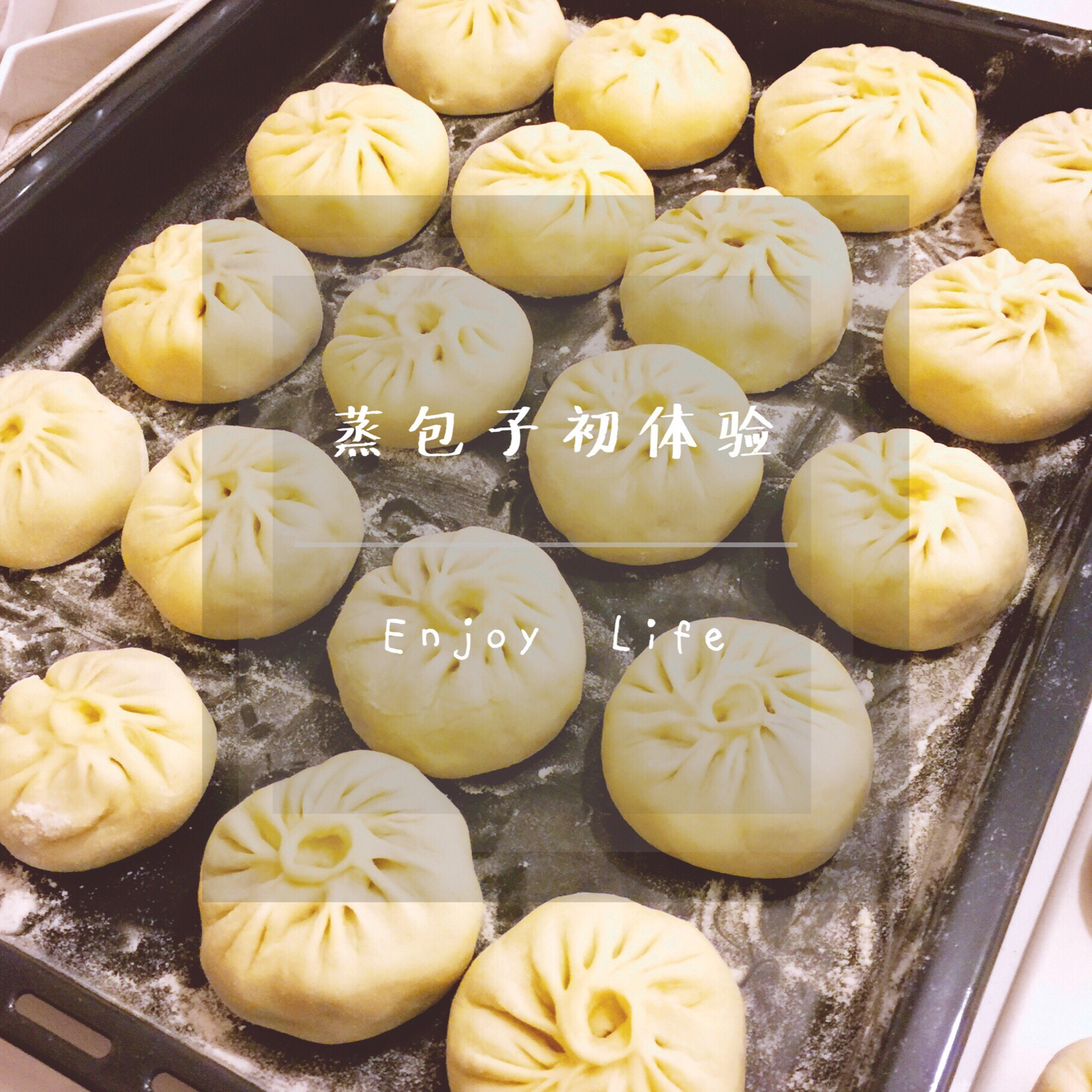 家庭手工肉馅大包子