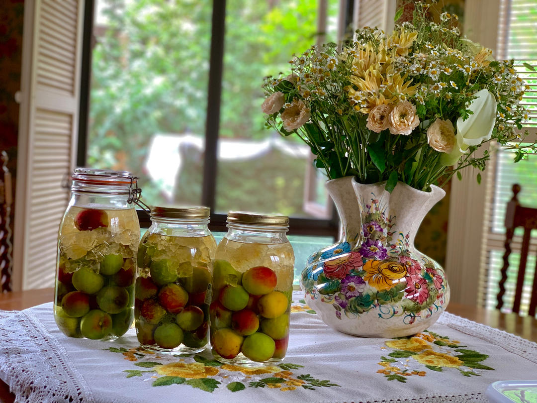 青梅酒（优的春日私酿第二話）