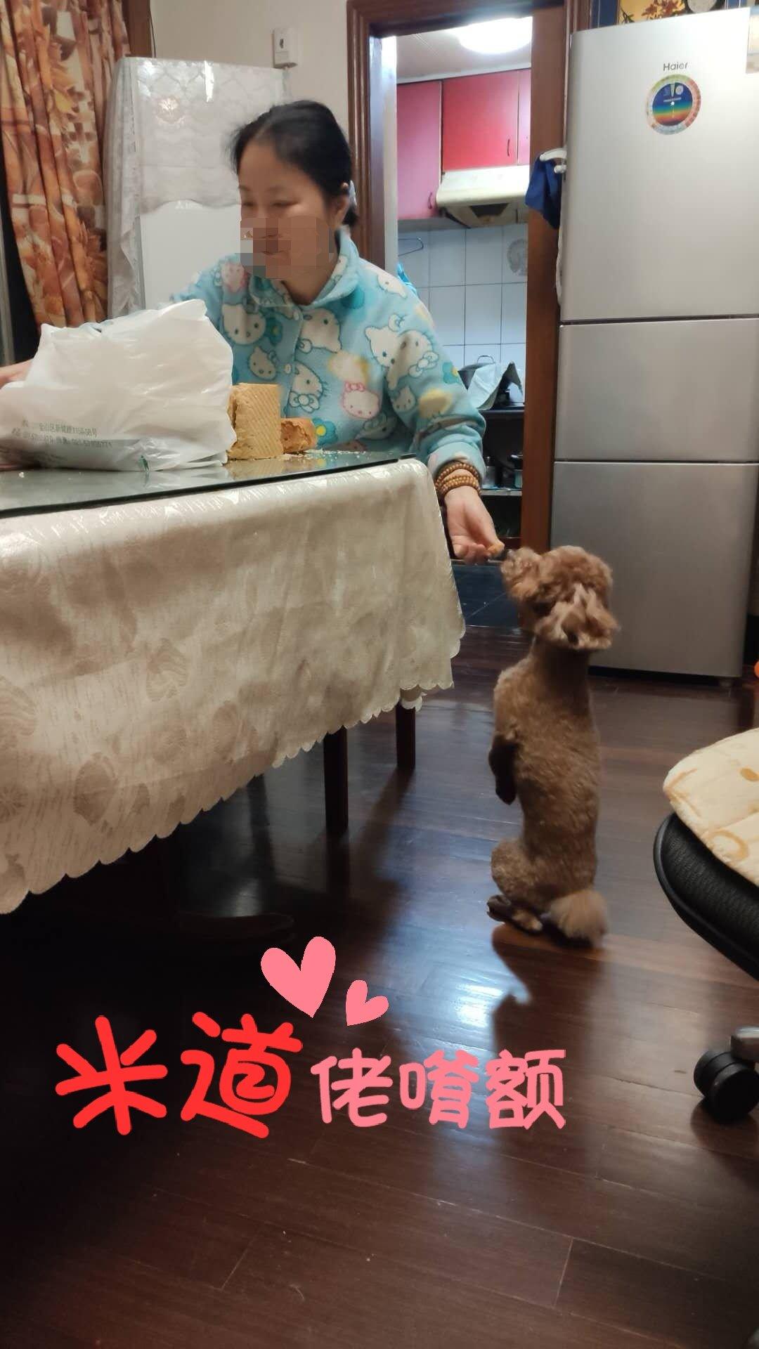 【无糖】全麦南瓜吐司