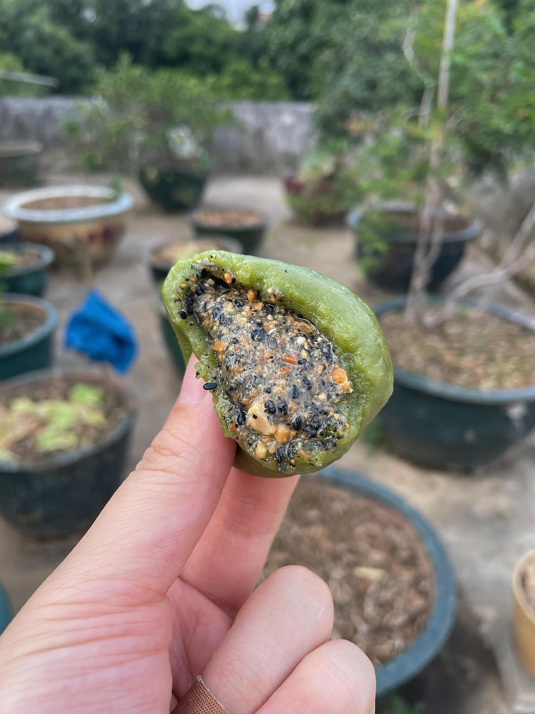 花生黑芝麻馅(流沙)万能馅