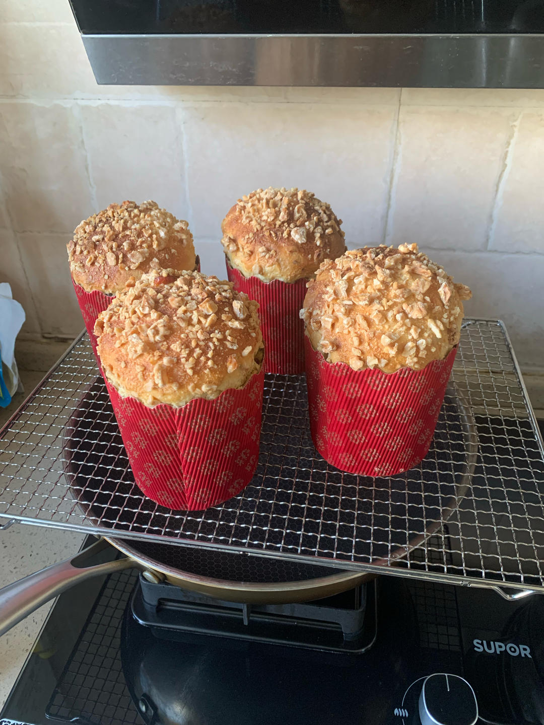 圣诞面包--潘娜托尼Panettone