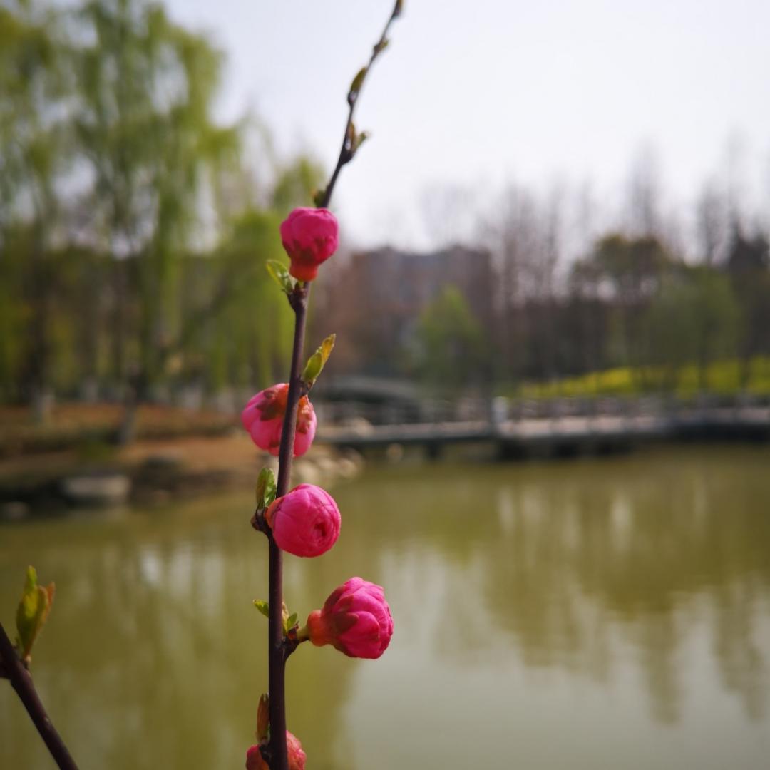 厨却巫山不是云